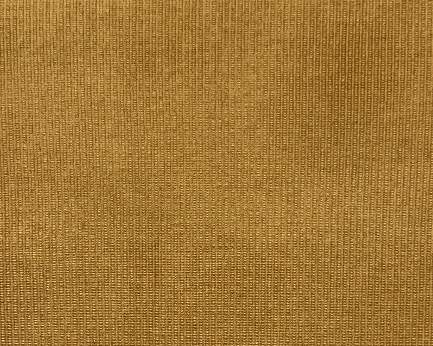 Stretch Cotton Velvet D/Beige